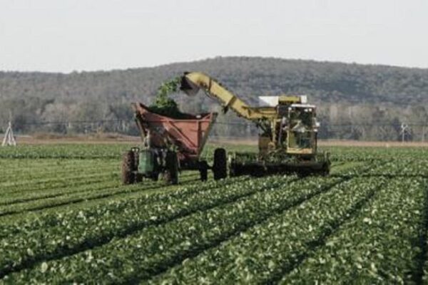 El agro respalda a Milei por frenar subas de retenciones.