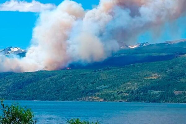 Texto alternativo: "Incendio en Parque Los Alerces: sospecha de focos intencionales, brigadistas combaten llamas con aeronaves."