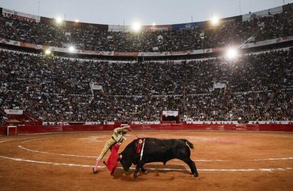 "Corridas de toros autorizadas en México tras revocación judicial."