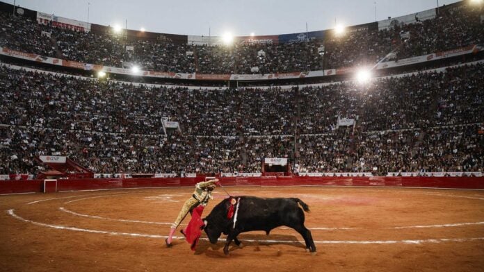 "Corridas de toros autorizadas en México tras revocación judicial."
