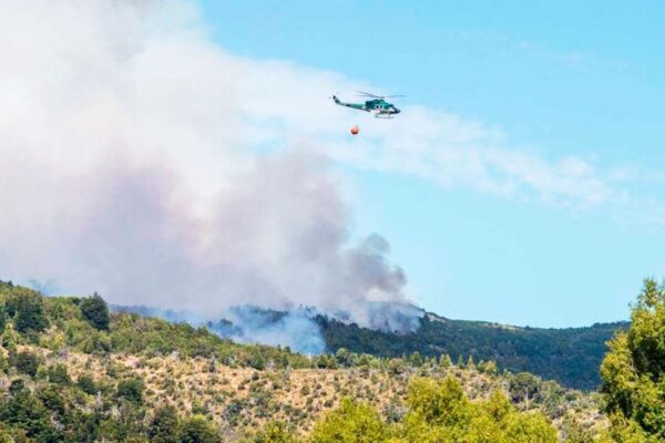 Texto alternativo: "Incendio forestal en Parque Nacional Los Alerces, situación crítica."