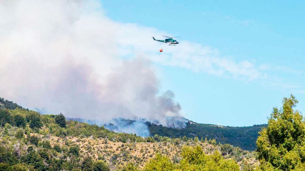 Texto alternativo: "Incendio forestal en Parque Nacional Los Alerces, situación crítica."